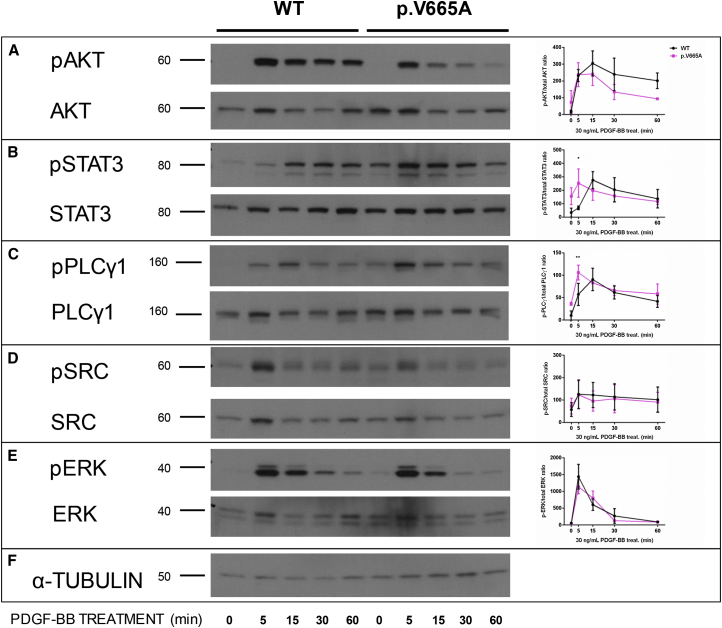 Figure 6