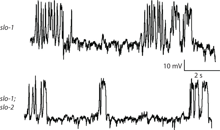 Figure 4—figure supplement 1.