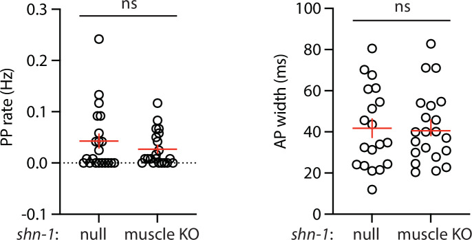 Figure 2—figure supplement 2.