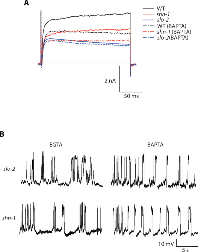 Figure 7—figure supplement 1.