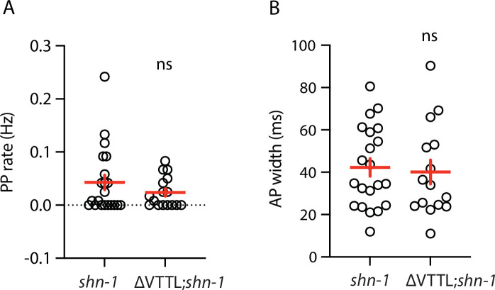 Figure 3—figure supplement 2.