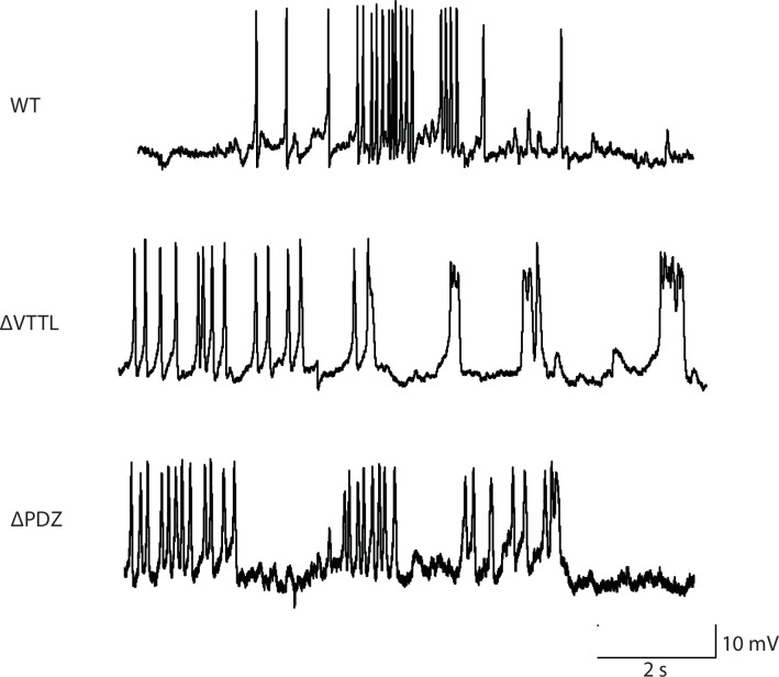 Figure 3—figure supplement 1.