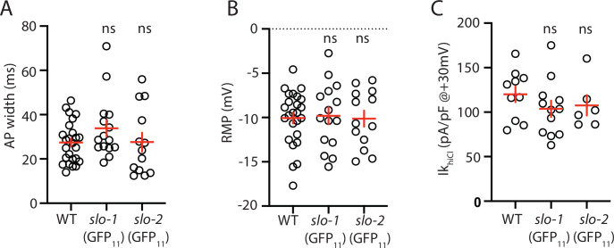 Figure 5—figure supplement 1.