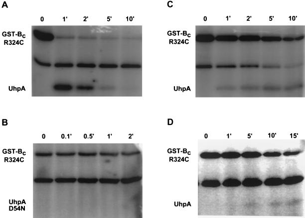 FIG. 5