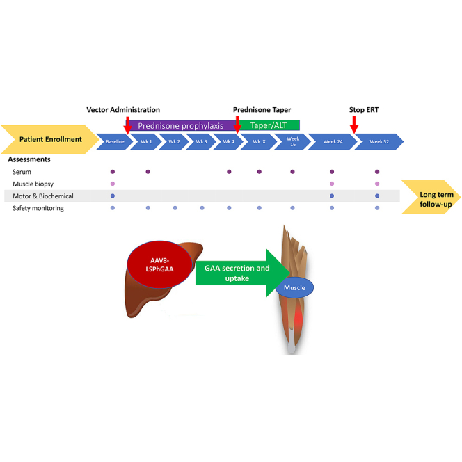 graphic file with name fx1.jpg