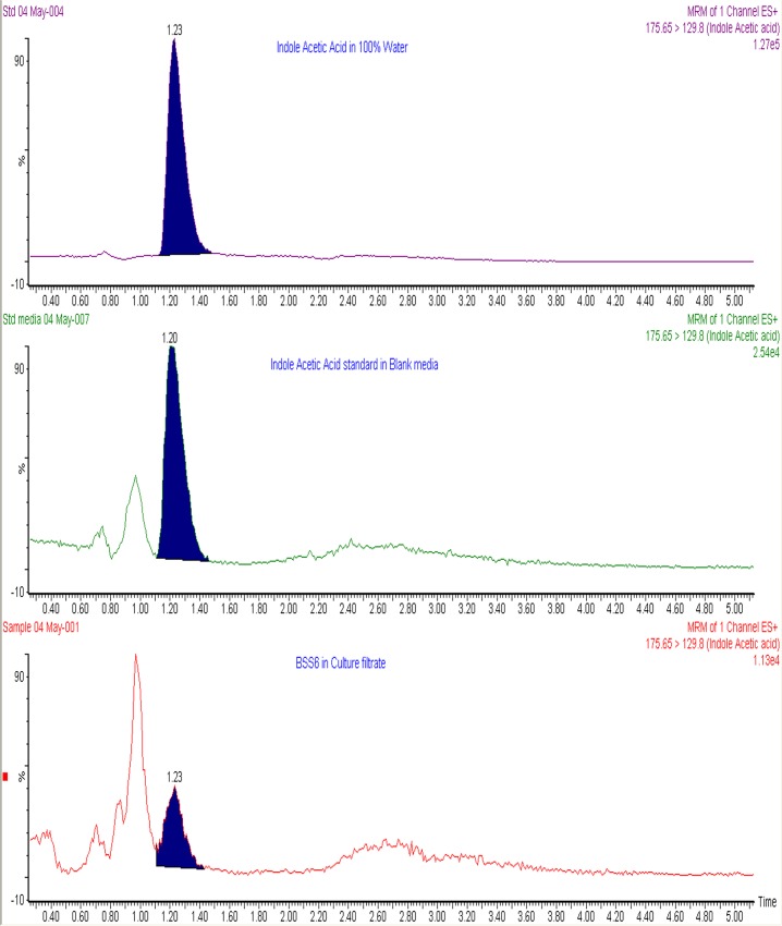 Fig 6