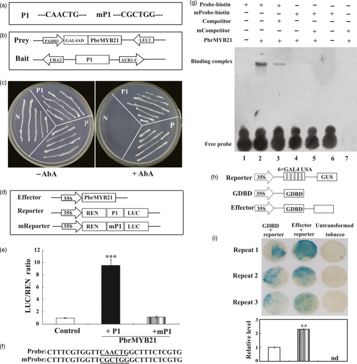 Figure 12