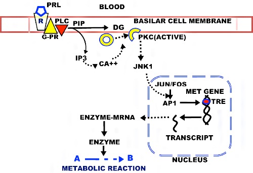 Figure 6.