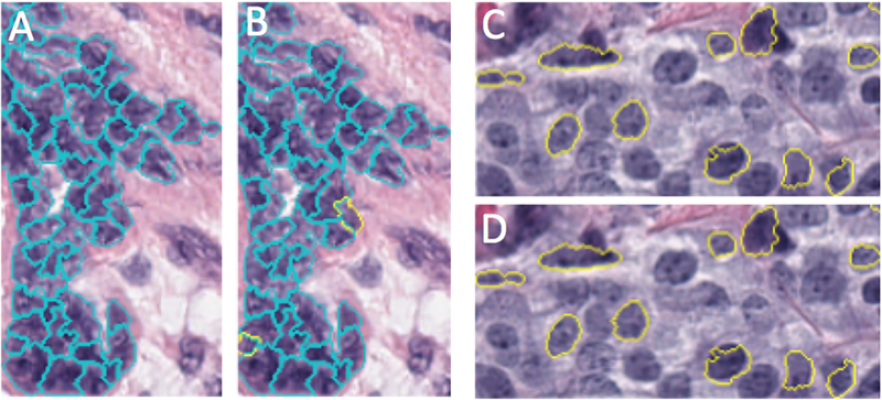 Fig. 3.