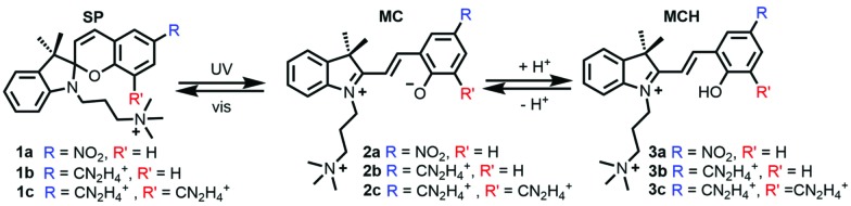 Scheme 1