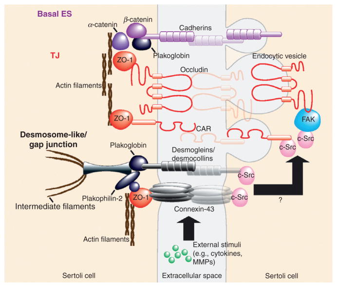 Figure 5.4