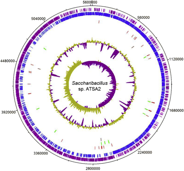 Fig. 1