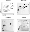 FIG. 9