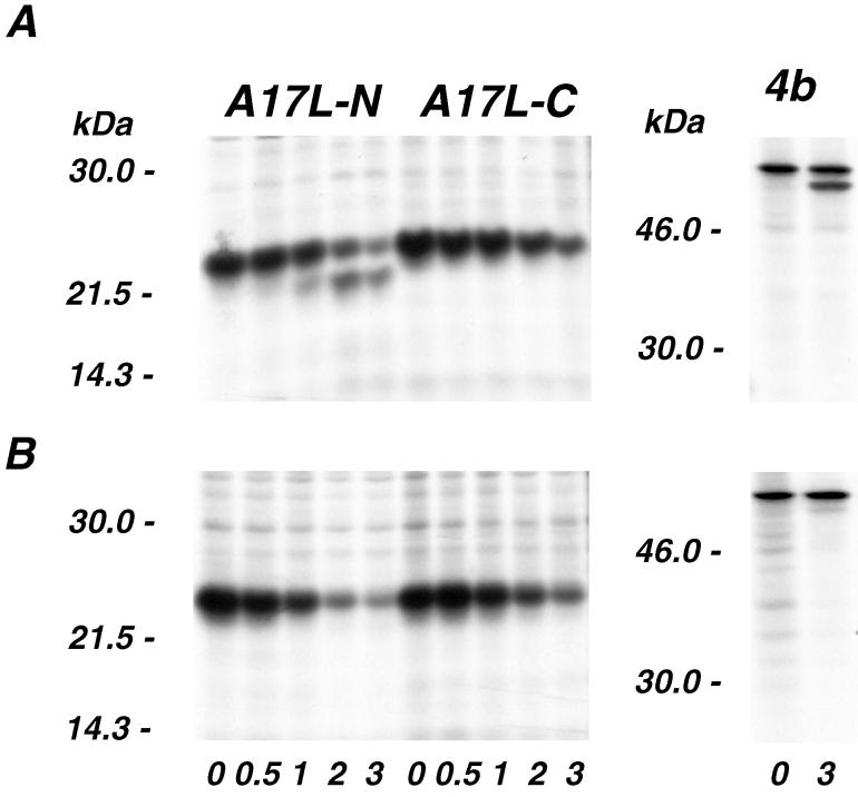 FIG. 4