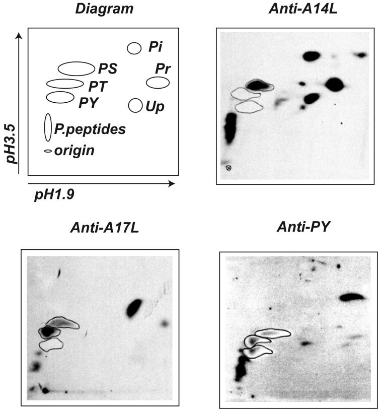 FIG. 9