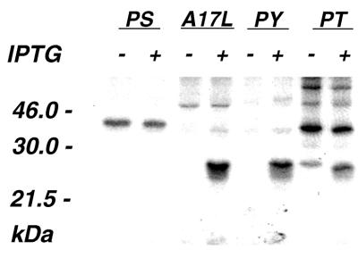 FIG. 8