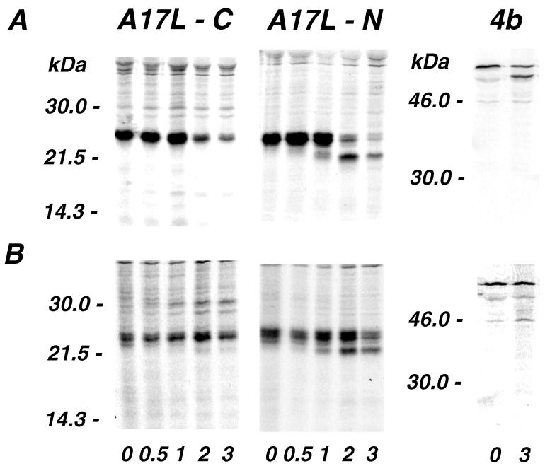 FIG. 3