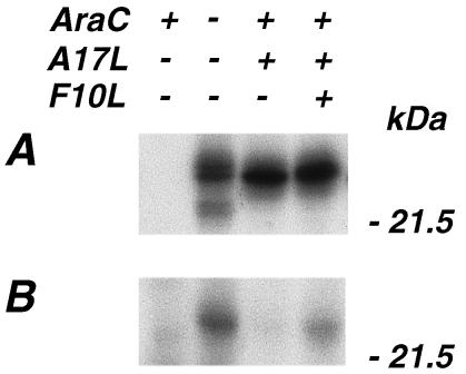 FIG. 7