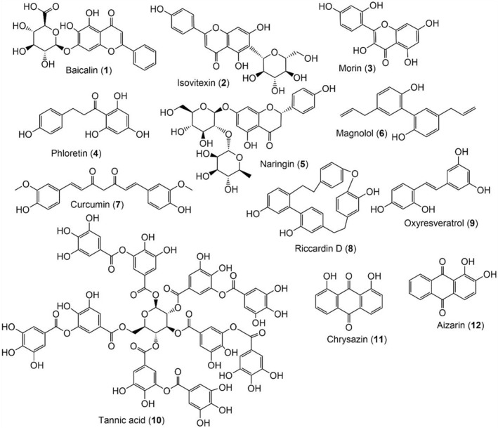 Fig. 3
