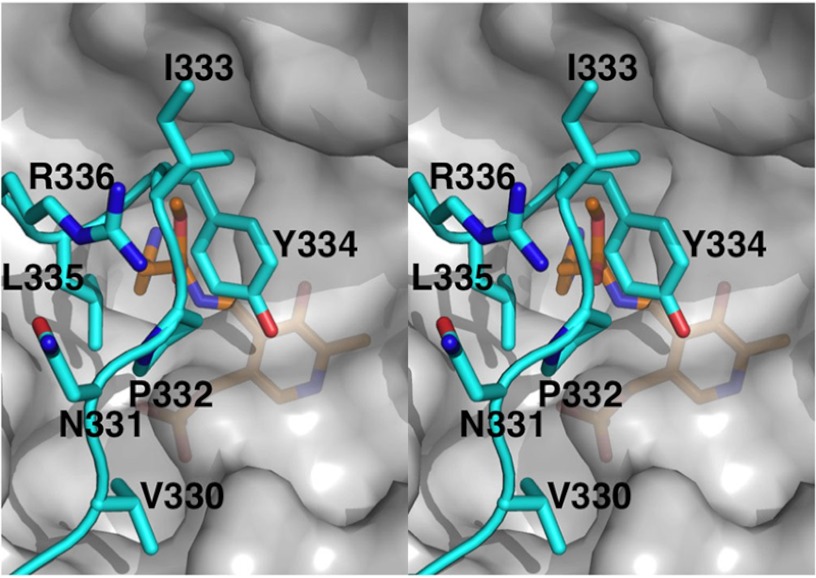 FIGURE 6.