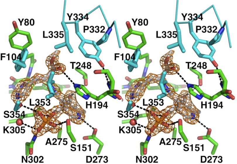 FIGURE 2.