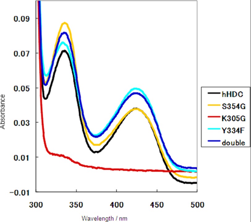 FIGURE 4.