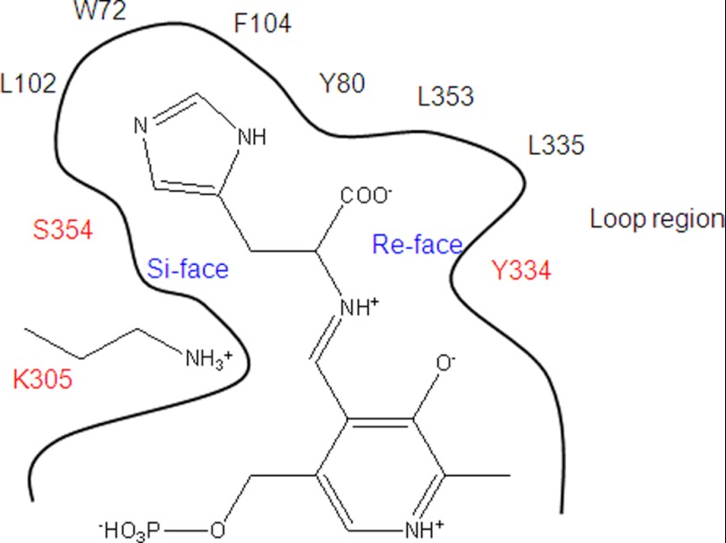 FIGURE 8.