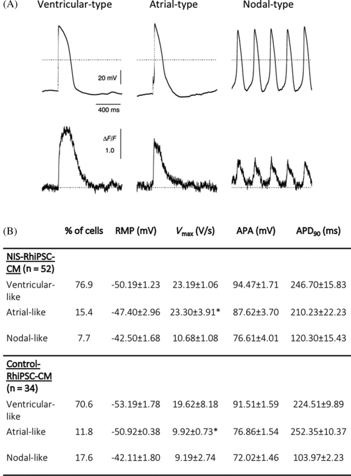 FIGURE 4