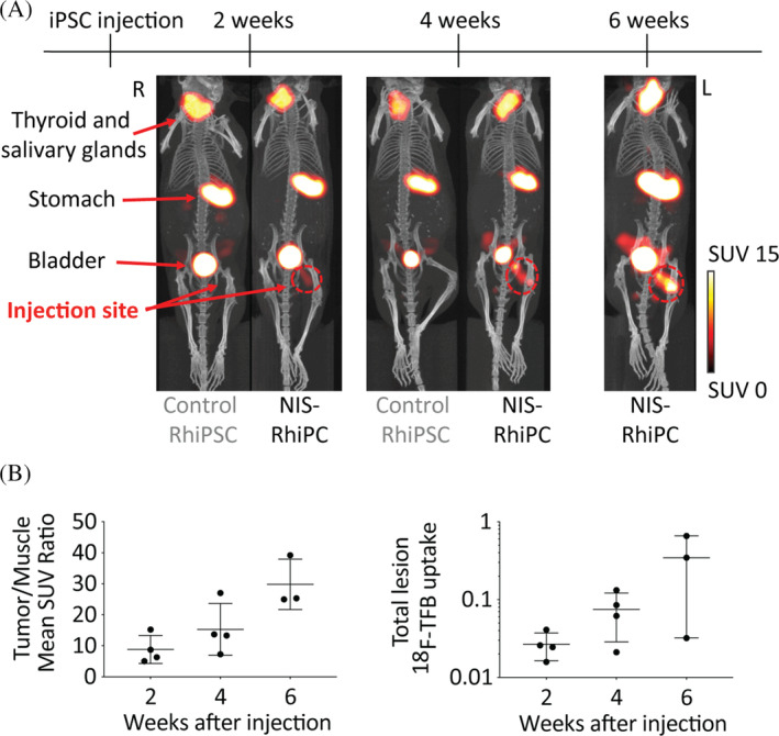 FIGURE 2