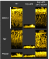 Fig 9