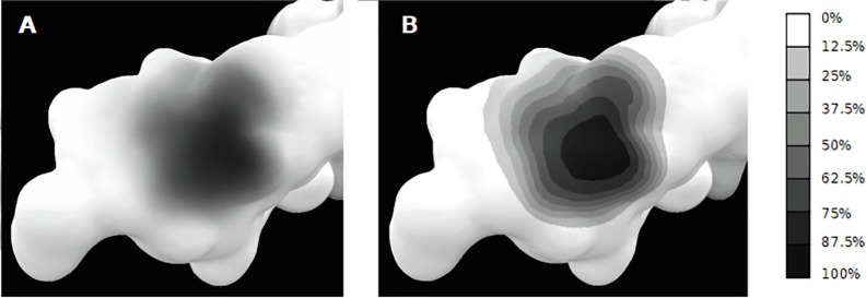 Fig. 5