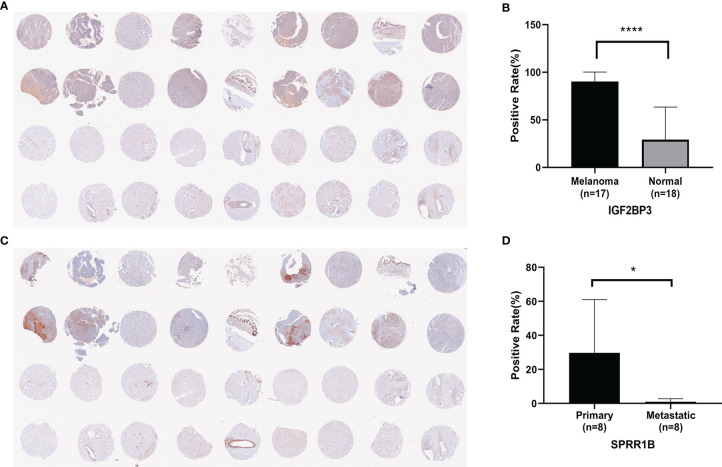 Figure 11