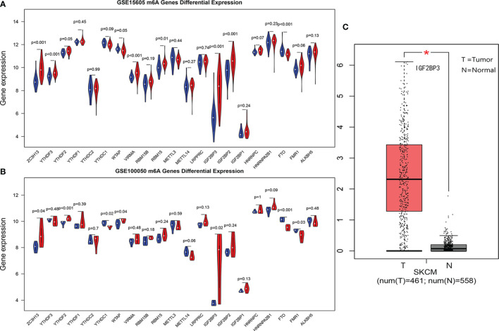 Figure 1