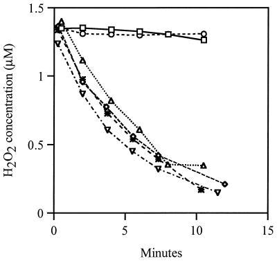 FIG. 1