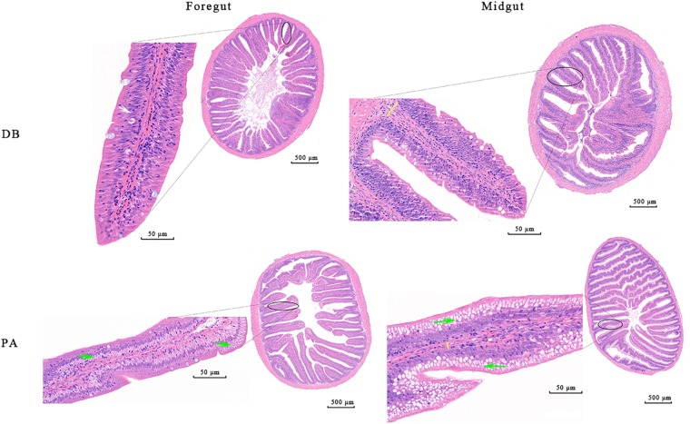 FIGURE 4