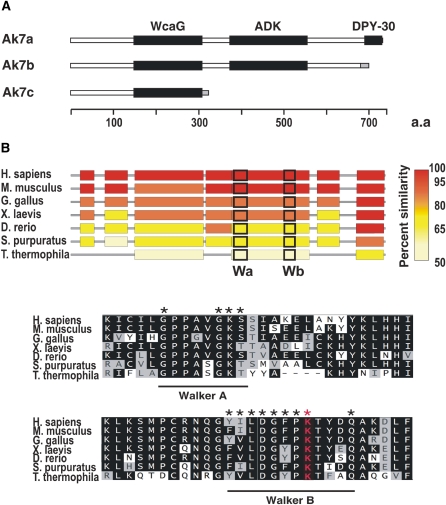 Figure 6.