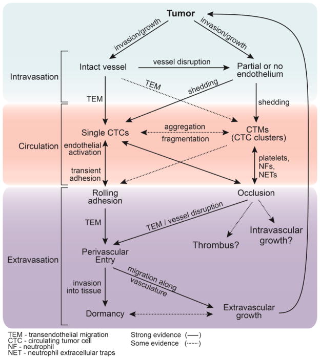 Figure 1, Key Figure