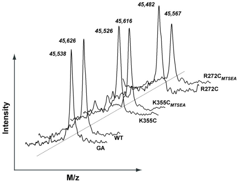 Fig. 3