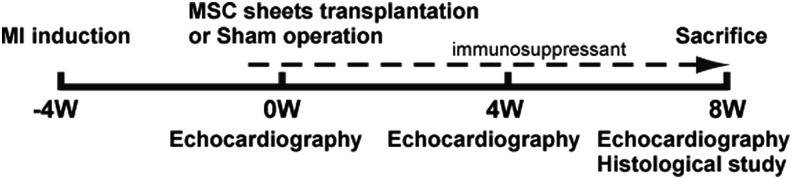 FIG. 1.