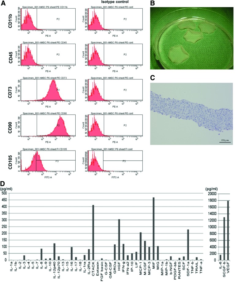 FIG. 2.