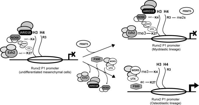 FIGURE 10.