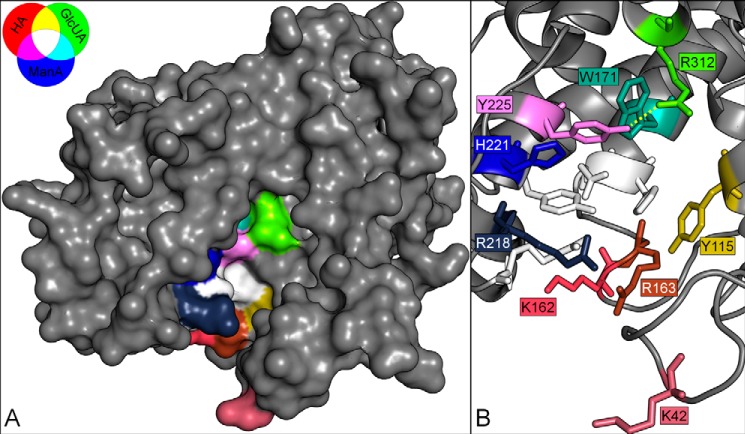 FIGURE 5.