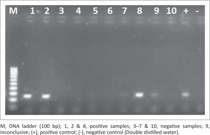 FIGURE 1