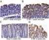 Fig. 3.