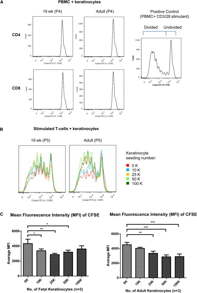 Figure 5