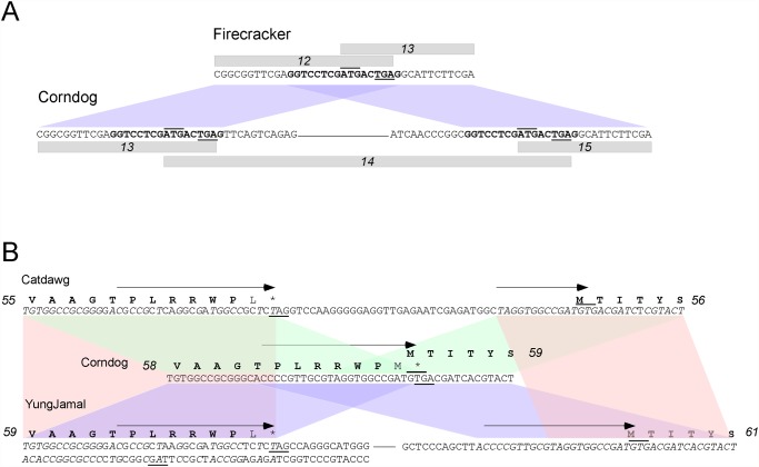 Fig 12