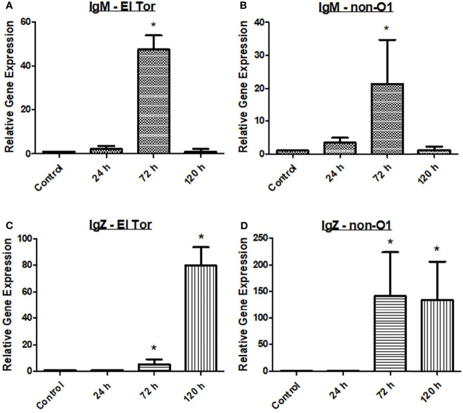 Figure 3