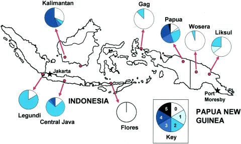 FIG. 1.