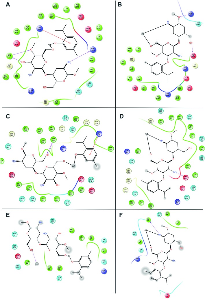 Fig. 12