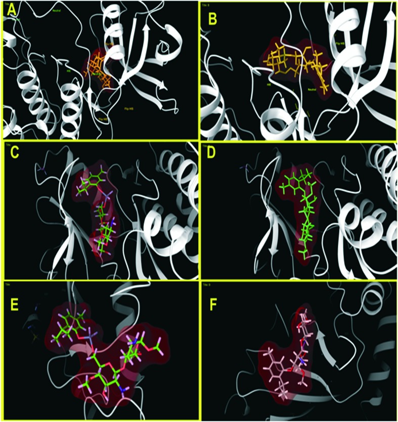 Fig. 13